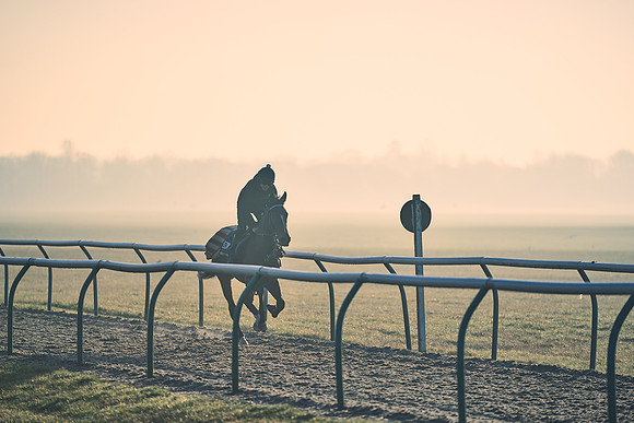 Southfields-002-Dominic-James-Horse-In-Training-4296