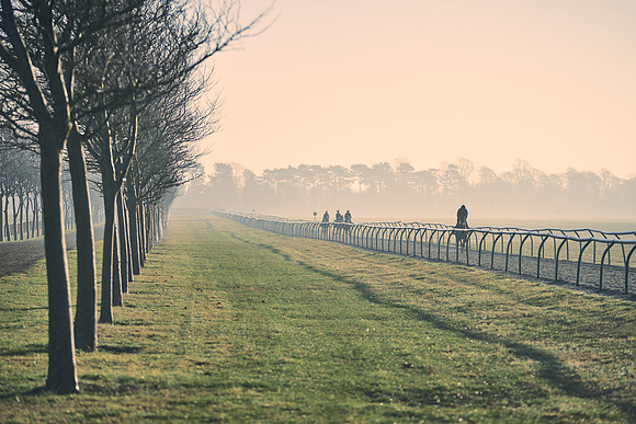 Southfields-002-Dominic-James-Horse-In-Training-4300
