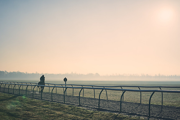 Southfields-002-Dominic-James-Horse-In-Training-4301