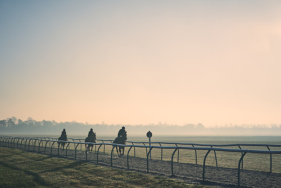 Southfields-002-Dominic-James-Horse-In-Training-4304