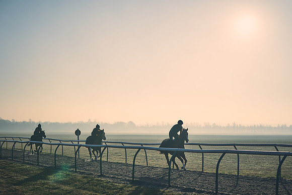Southfields-002-Dominic-James-Horse-In-Training-4307