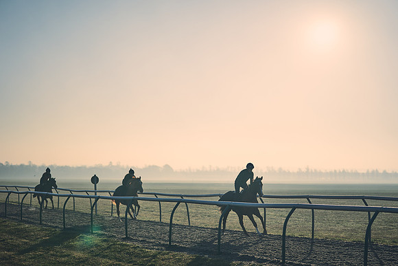 Southfields-002-Dominic-James-Horse-In-Training-4308