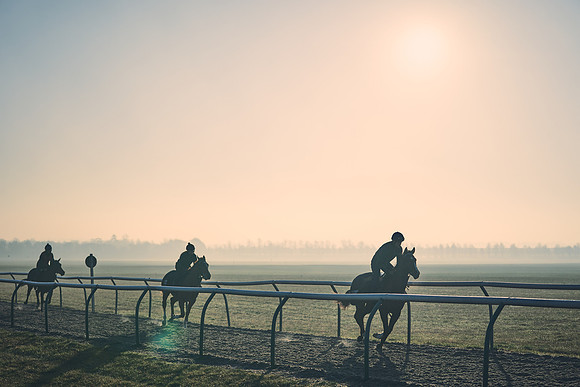 Southfields-002-Dominic-James-Horse-In-Training-4310