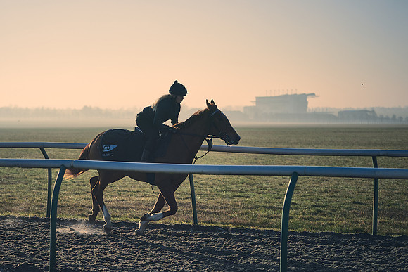 Southfields-002-Dominic-James-Horse-In-Training-4315