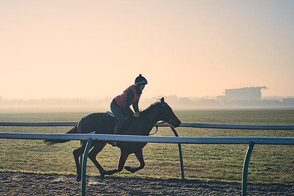 Southfields-002-Dominic-James-Horse-In-Training-4316