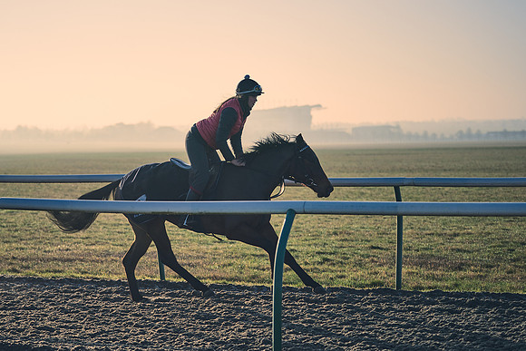 Southfields-002-Dominic-James-Horse-In-Training-4318