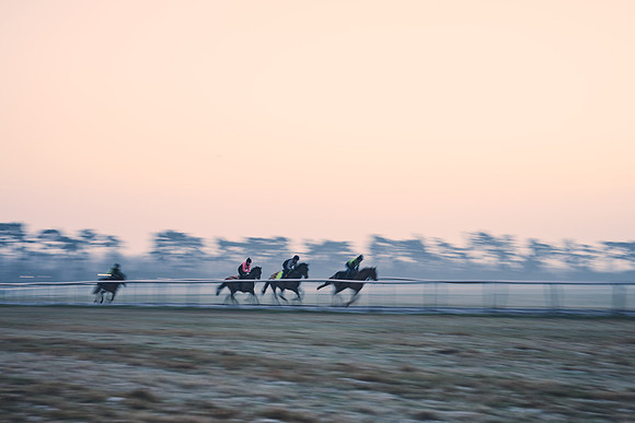 Southfields-002-Dominic-James-Horse-In-Training-3710
