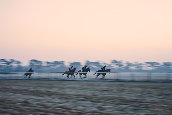 Southfields-002-Dominic-James-Horse-In-Training-3711