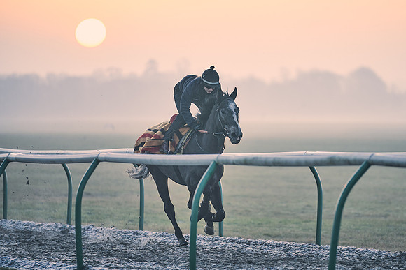 Southfields-002-Dominic-James-Horse-In-Training-3853