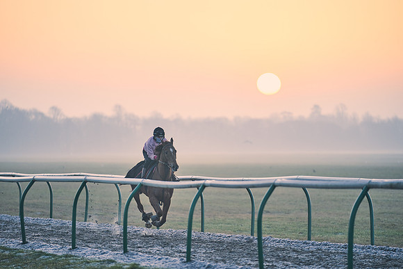 Southfields-002-Dominic-James-Horse-In-Training-3859