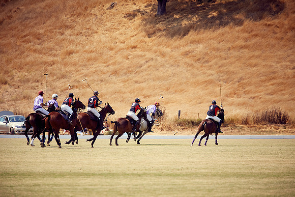 Oyster Cup Polo tournament