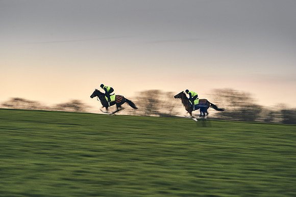 WARREN-HILL-18th-FEB-DJ-_DJ94261.ARW-1739