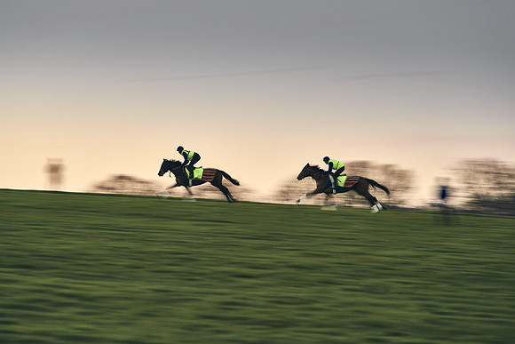 WARREN-HILL-18th-FEB-DJ-_DJ94263.ARW-1741