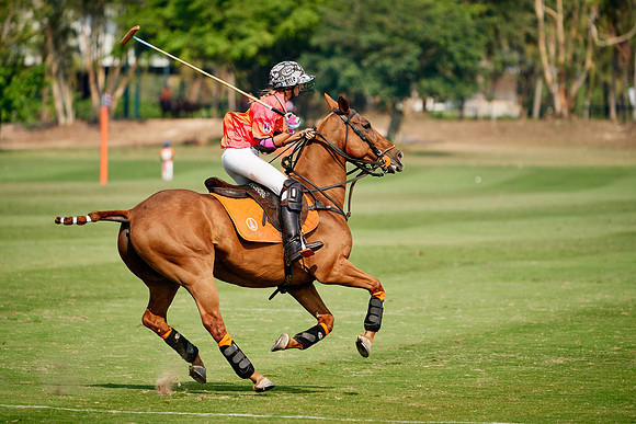 THAI-PINK-POLO-2020-Dominic-James_DJ98720.ARW2846
