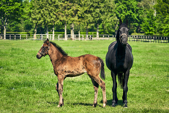 2021-06-01-Dominic-James-0320