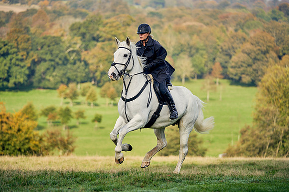 Dominic-James-Horsepower-0029