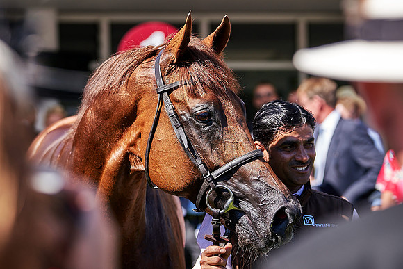 Dominic-James-Horsepower-0052