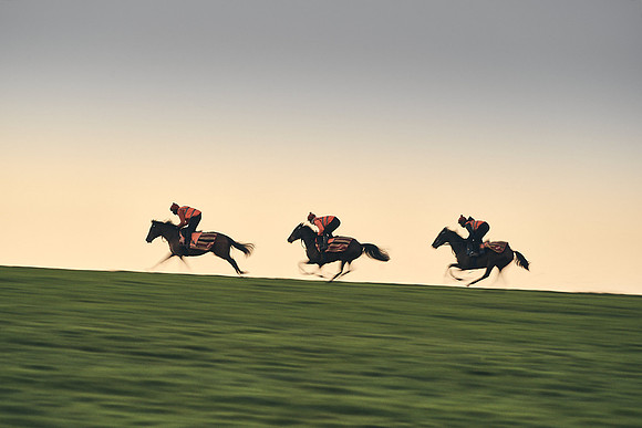 Dominic-James-Horsepower-0023