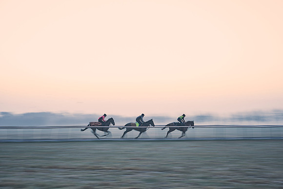 Dominic-James-Horsepower-0027