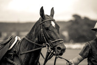 Gold Cup Draw 2011