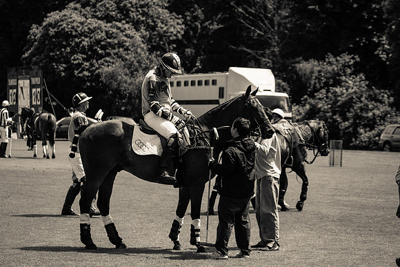 Gold Cup Draw 2011
