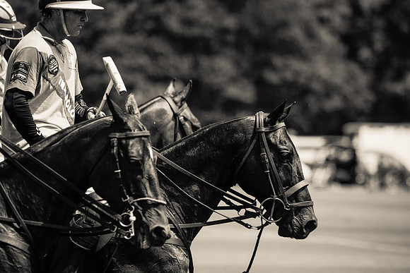Gold Cup Draw 2011