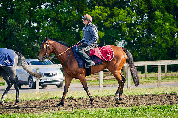 Lady-Bowthorpe-2021-05-26-Dominic-James-3243.jpg