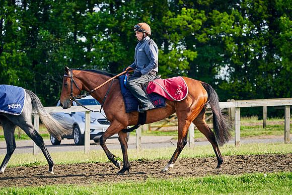 Lady-Bowthorpe-2021-05-26-Dominic-James-3248.jpg