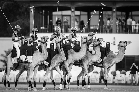 Polo Match at Ghantoot Polo Club - St. Regis vs ADCB for the Pink Polo Day charity