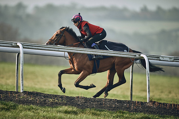 HORSES-IN-TRAINING-9TH-APR-DJ-0911