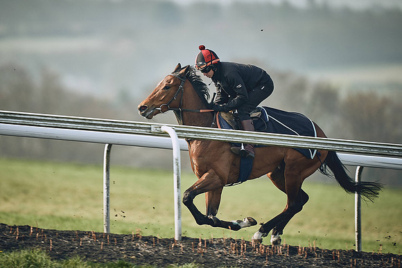 HORSES-IN-TRAINING-9TH-APR-DJ-0835