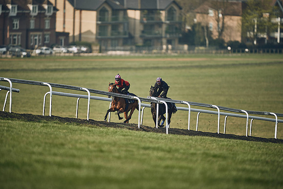 HORSES-IN-TRAINING-9TH-APR-DJ-0890