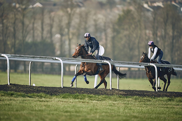 HORSES-IN-TRAINING-9TH-APR-DJ-0779