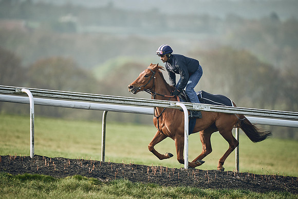 HORSES-IN-TRAINING-9TH-APR-DJ-0854