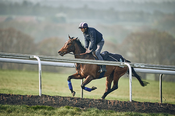 HORSES-IN-TRAINING-9TH-APR-DJ-0788