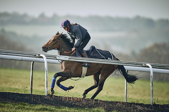 HORSES-IN-TRAINING-9TH-APR-DJ-0869