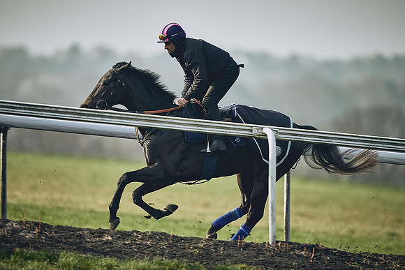 HORSES-IN-TRAINING-9TH-APR-DJ-0914