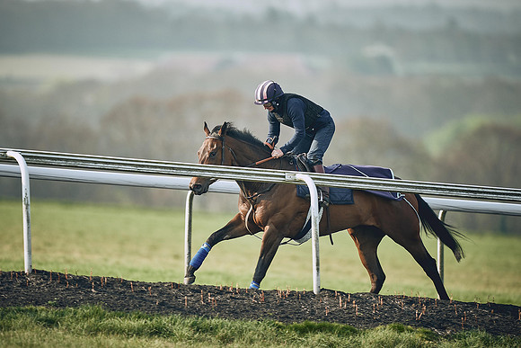 HORSES-IN-TRAINING-9TH-APR-DJ-0866