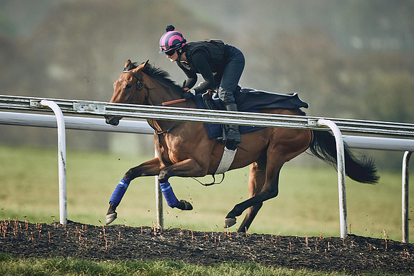 HORSES-IN-TRAINING-9TH-APR-DJ-0773