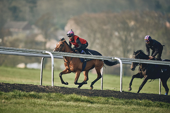 HORSES-IN-TRAINING-9TH-APR-DJ-0900