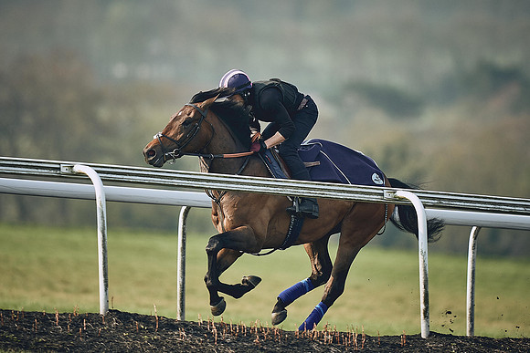 HORSES-IN-TRAINING-9TH-APR-DJ-0830