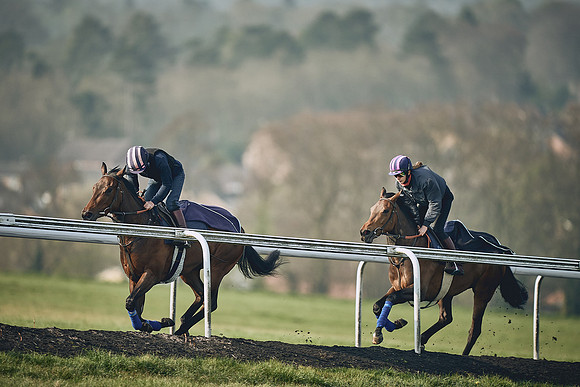 HORSES-IN-TRAINING-9TH-APR-DJ-0862