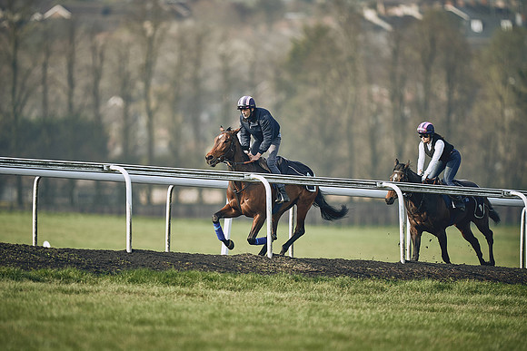 HORSES-IN-TRAINING-9TH-APR-DJ-0778