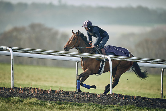 HORSES-IN-TRAINING-9TH-APR-DJ-0868