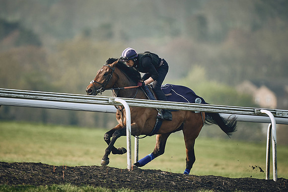 HORSES-IN-TRAINING-9TH-APR-DJ-0825