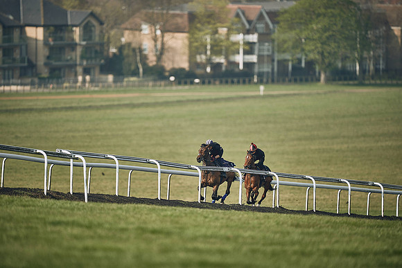 HORSES-IN-TRAINING-9TH-APR-DJ-0806