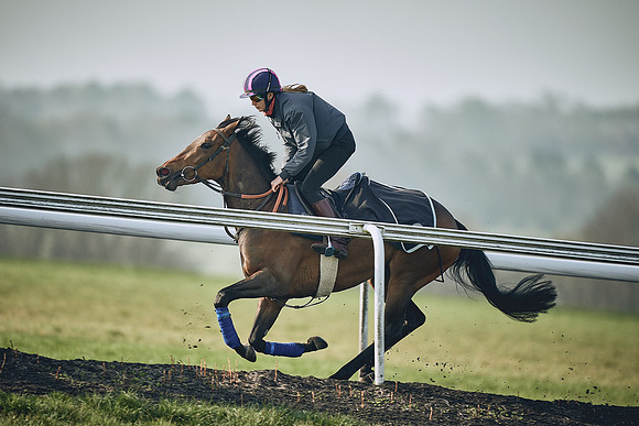 HORSES-IN-TRAINING-9TH-APR-DJ-0874