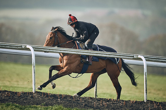 HORSES-IN-TRAINING-9TH-APR-DJ-0831