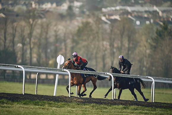 HORSES-IN-TRAINING-9TH-APR-DJ-0897