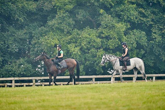 11th-August-Dominic-James-4296-strad